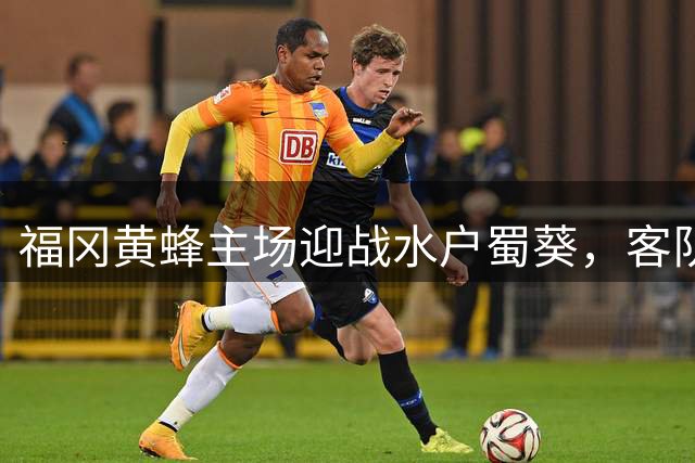 福冈黄蜂主场迎战水户蜀葵，客队有望保持不败